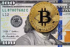 Bitcoin Value Euro Live